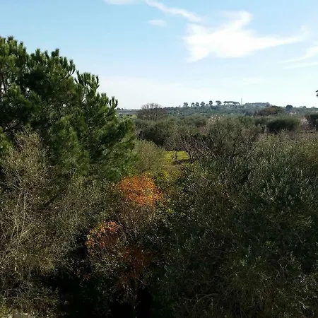 In Masseria