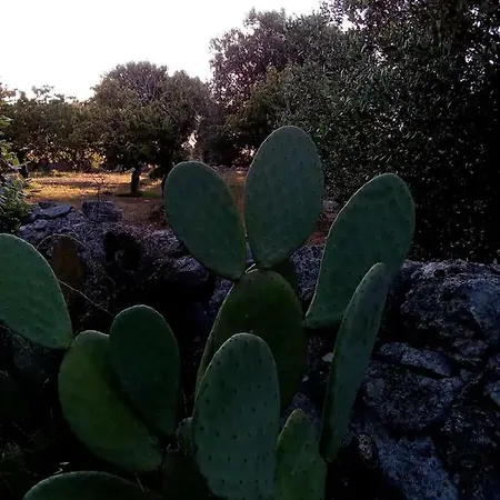 In Masseria *