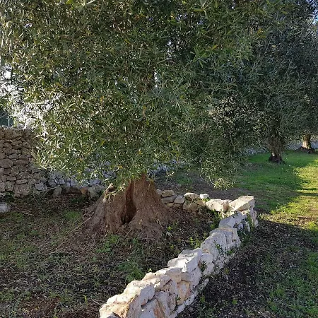 In Masseria *