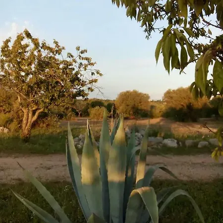 In Masseria *